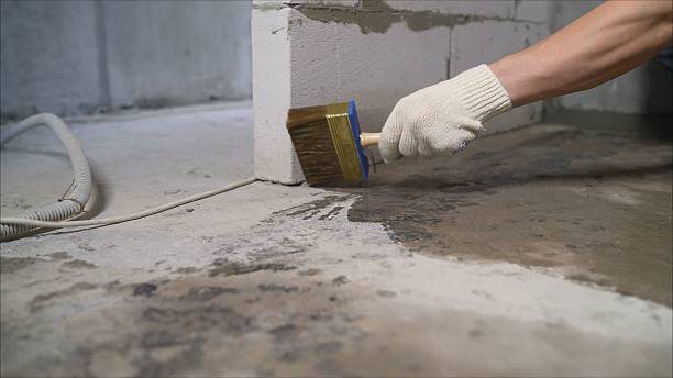 SJ Waterproofing Pros Waterproofing coverage map for New Era, MI and surrounding area